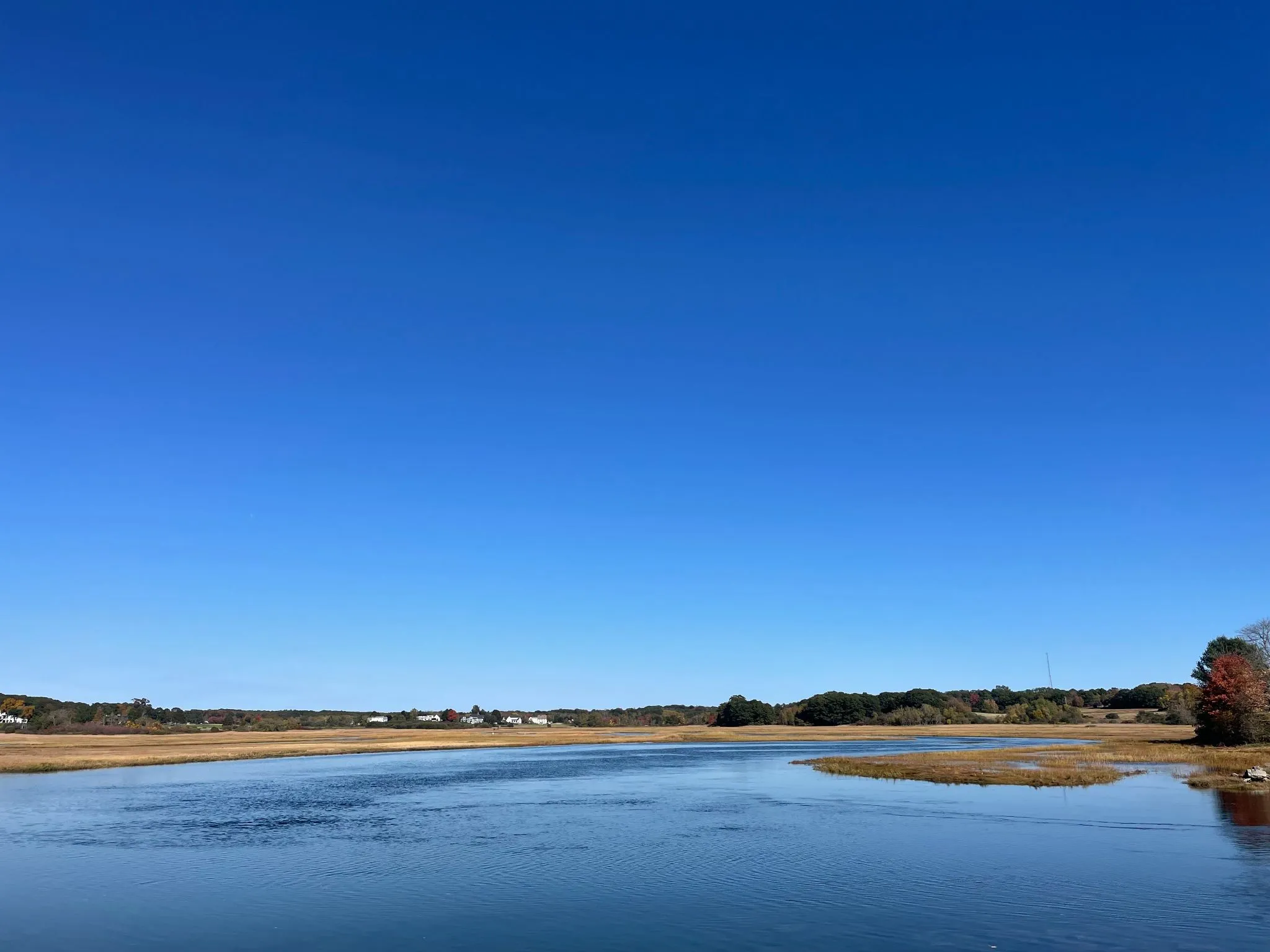 A river winding through golden marshes beneath a clear blue sky.