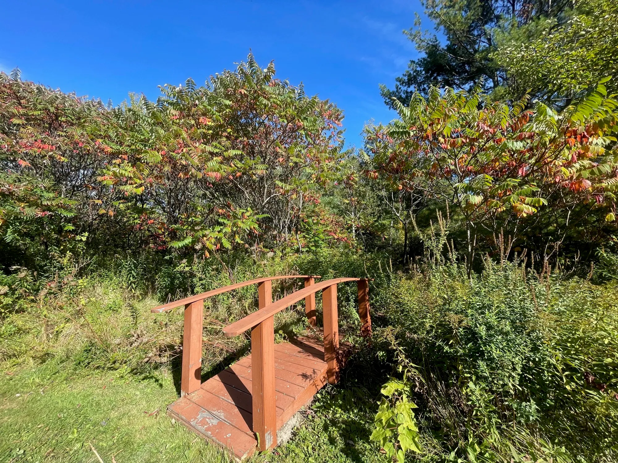 A small wooden footbridge crosses the church’s wooded grounds, sumac turning red in early fall